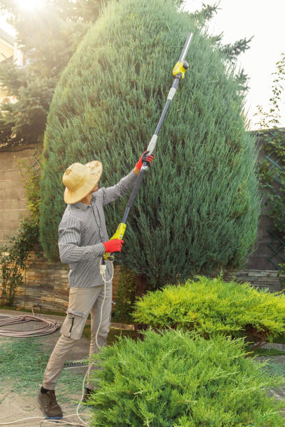 Best Storm Damage Tree Cleanup  in Muldrow, OK